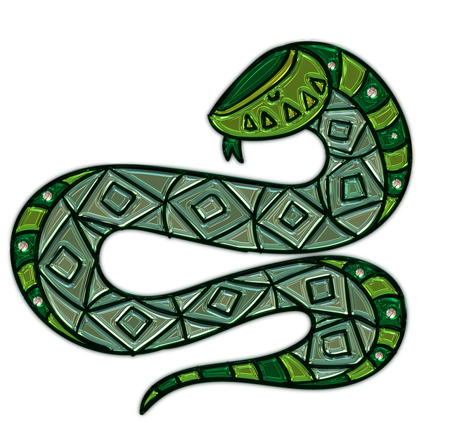 十二星座蟒蛇图片视频赏析十二星座的蟒蛇