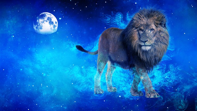 把握机遇，勇敢追梦，狮子座的精彩人生