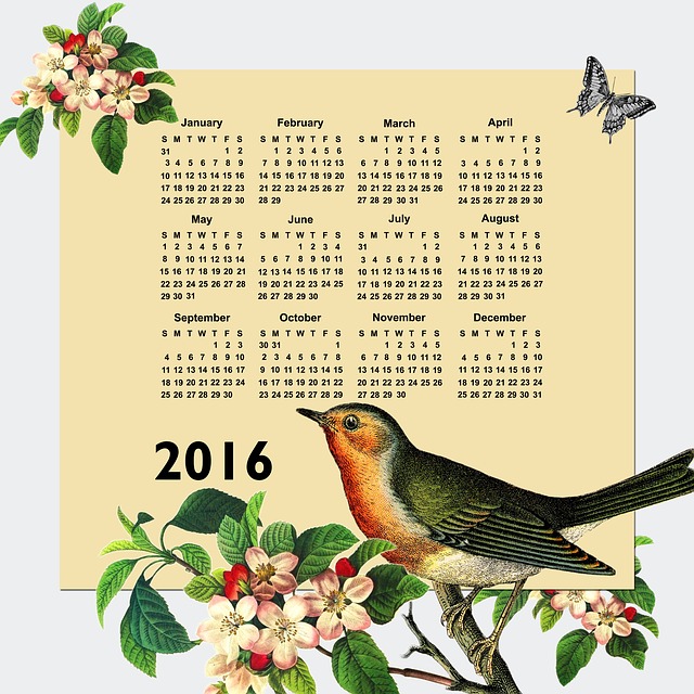 2016日历，给每一天带来快乐
