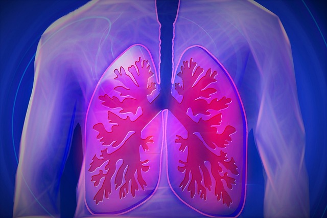 三、在日常生活中如何保护好肺部